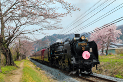 長瀞の桜はまだ・・・・・・