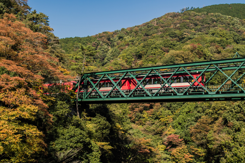箱根の紅葉はまだ