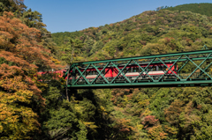 箱根の紅葉はまだ