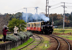 とことことトロッコ列車