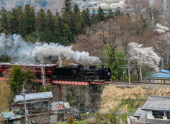 秩父の山から