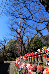 増上寺から