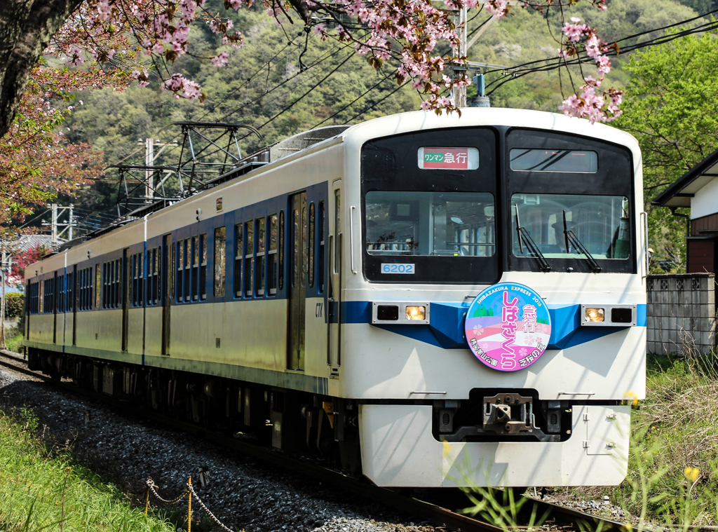 急行　芝桜号