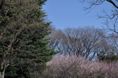 3分割法