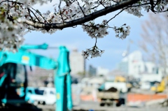 阿佐ヶ谷団地建て替え中