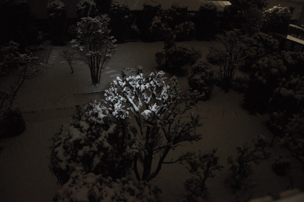 積雪２ｃｍ