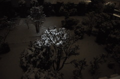 積雪２ｃｍ