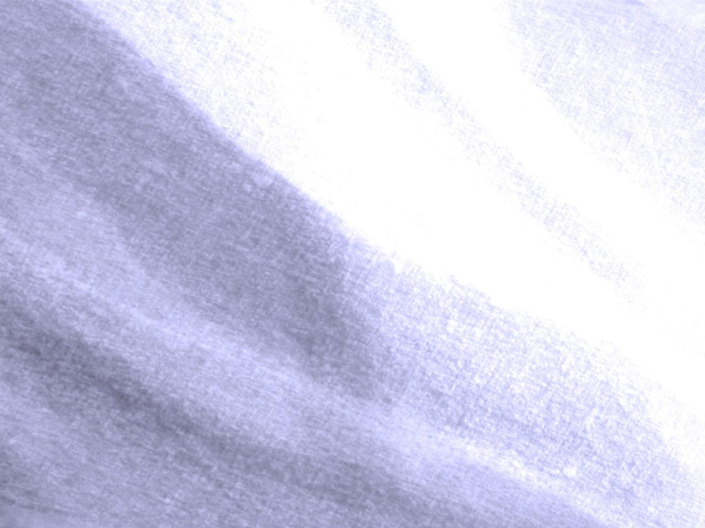スナ