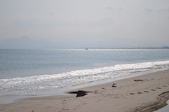 晴れの日の海岸