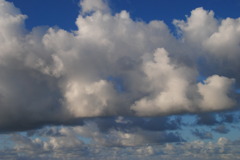雲