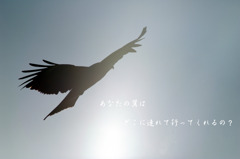 羽ばたく空へ