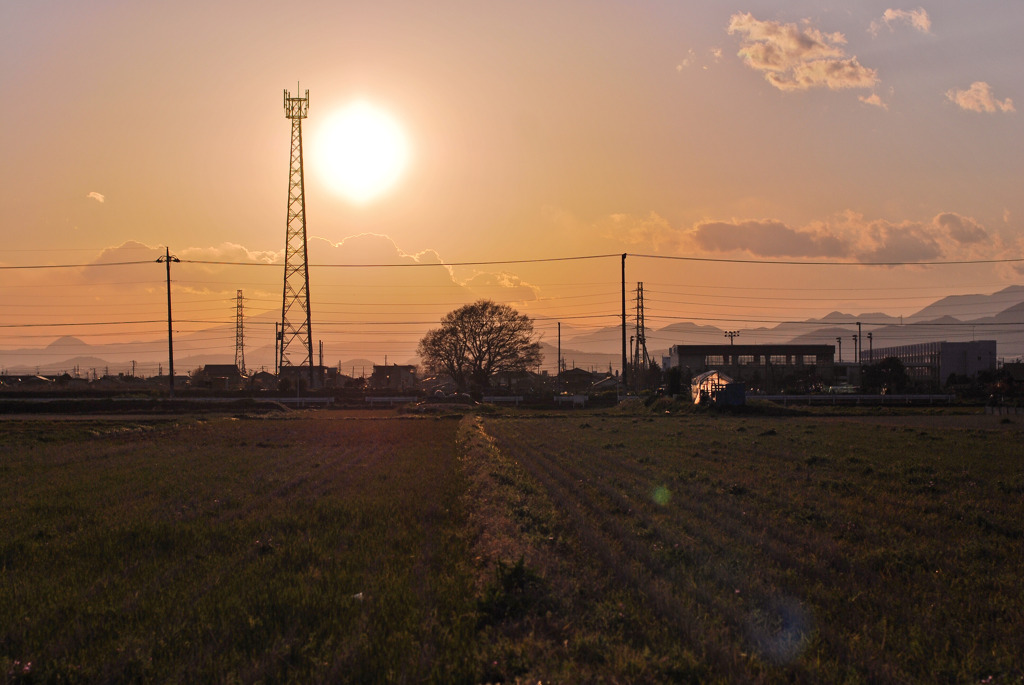 地元の夕日