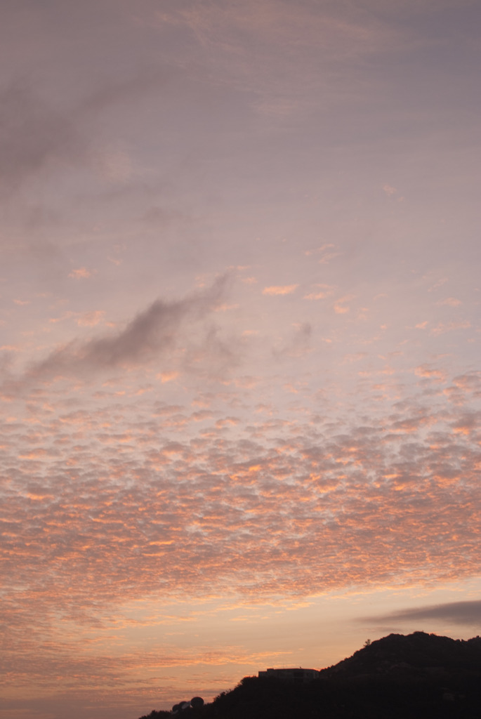 鱗雲と夕焼け空