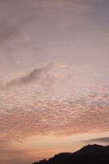 鱗雲と夕焼け空