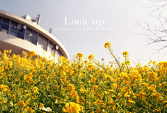 look up