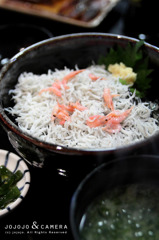 しらす丼
