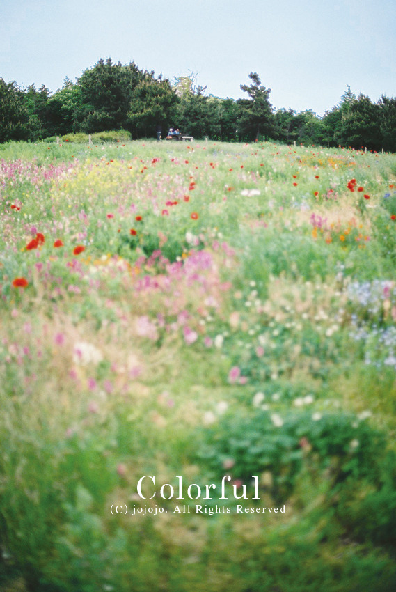 Colorful