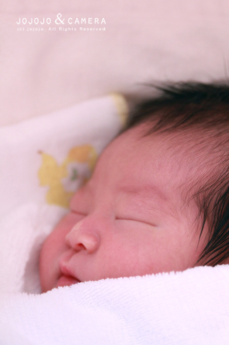 生後３日目の天使３