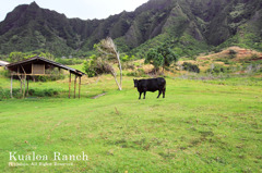 Kualoa Ranch02