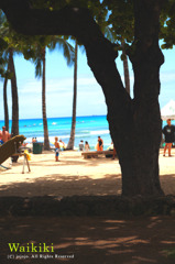 waikiki02
