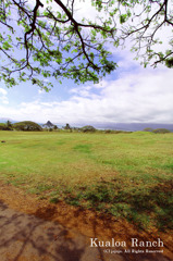 Kualoa Ranch07