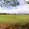 Kualoa Ranch07