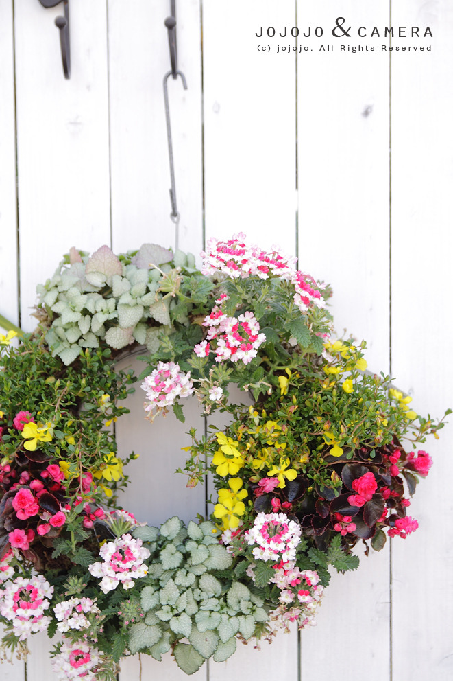 flower01