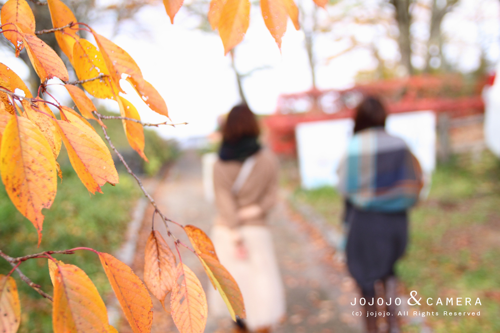 紅葉散歩