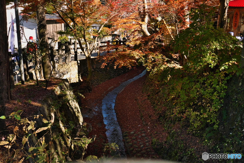 高尾山　紅葉橋