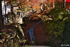 高尾山　紅葉橋