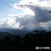 雨上がりの高尾山山頂にて