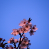 空高く。
