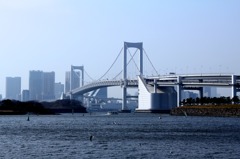 お台場からRainbow Bridge