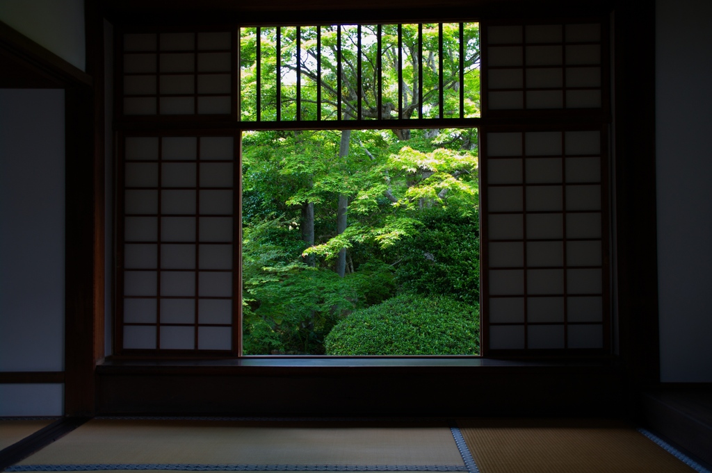 迷いの窓