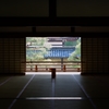 天龍寺の中から