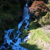 激しく