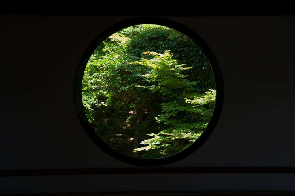 悟りの窓