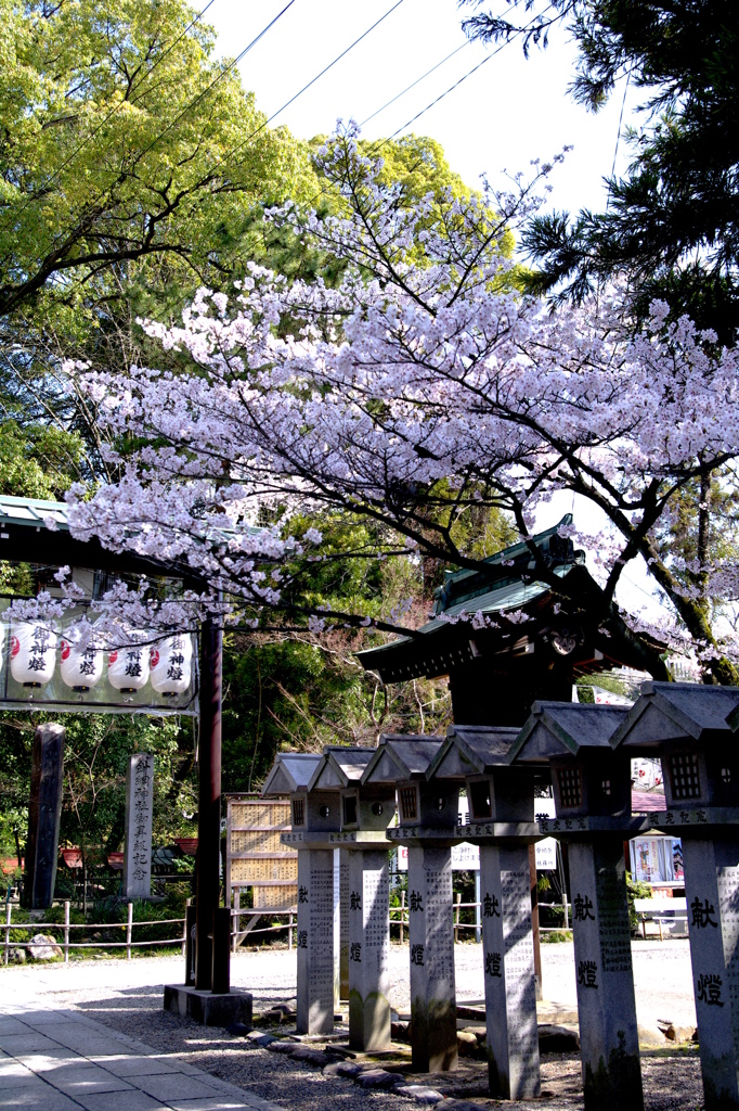 神社