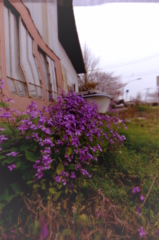 思うがままに