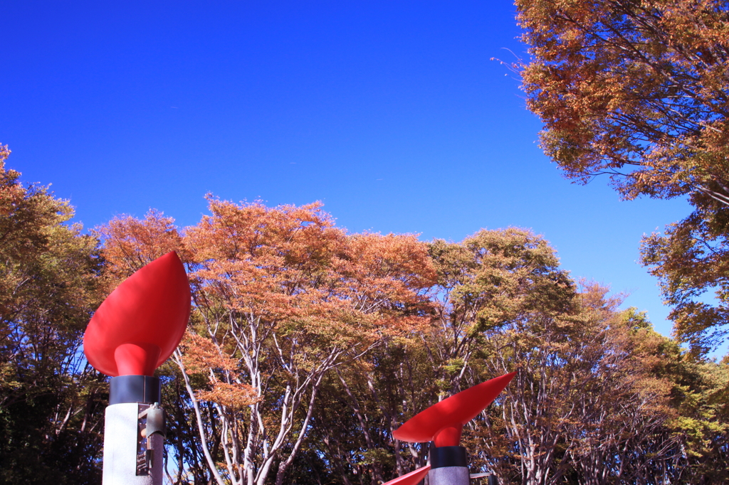 青空と紅葉