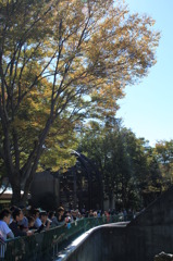 秋空の下