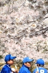 さくらとアイス