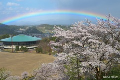 虹の架け橋