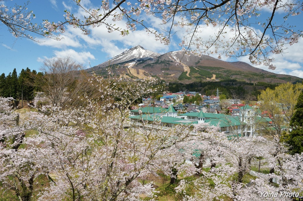 医聖の記憶の中で