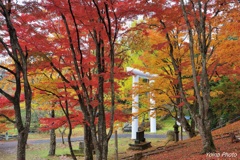 白秋の土津神社