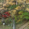 秋静かに