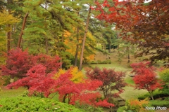 秋愁の山野