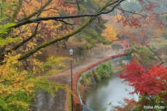 朝時雨