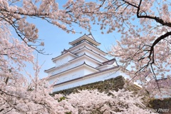 時代を超えて