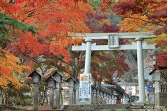 鳥居を飾りて